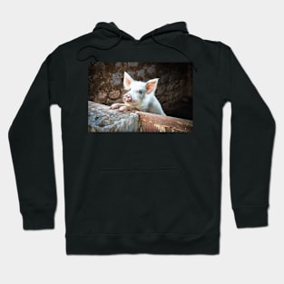 Cute White Pig Hoodie